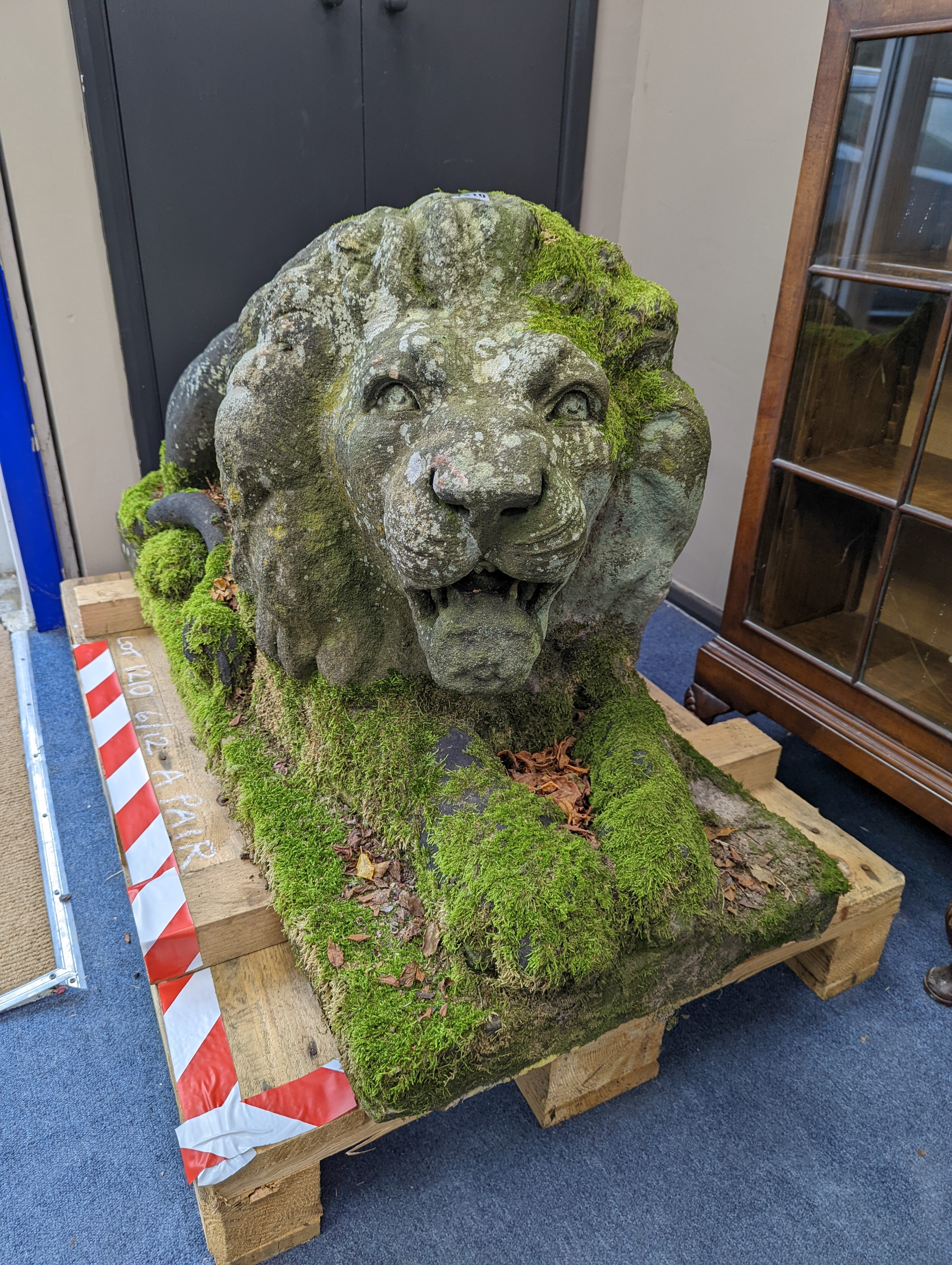 A pair of carved stone models of a recumbent lion and lioness, purchased from Crowther of Syon Lodge approximately 40 years ago. Length 122cm. Width 50cm. Height 60cm.